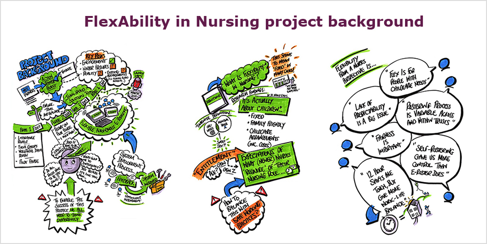 FlexAbility in Nursing Project Background